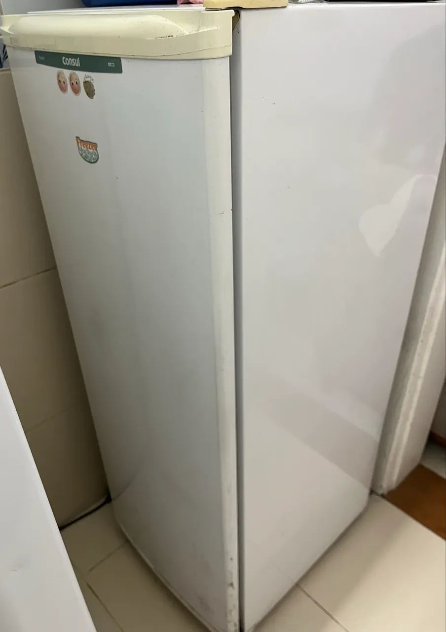 Freezer vertical 