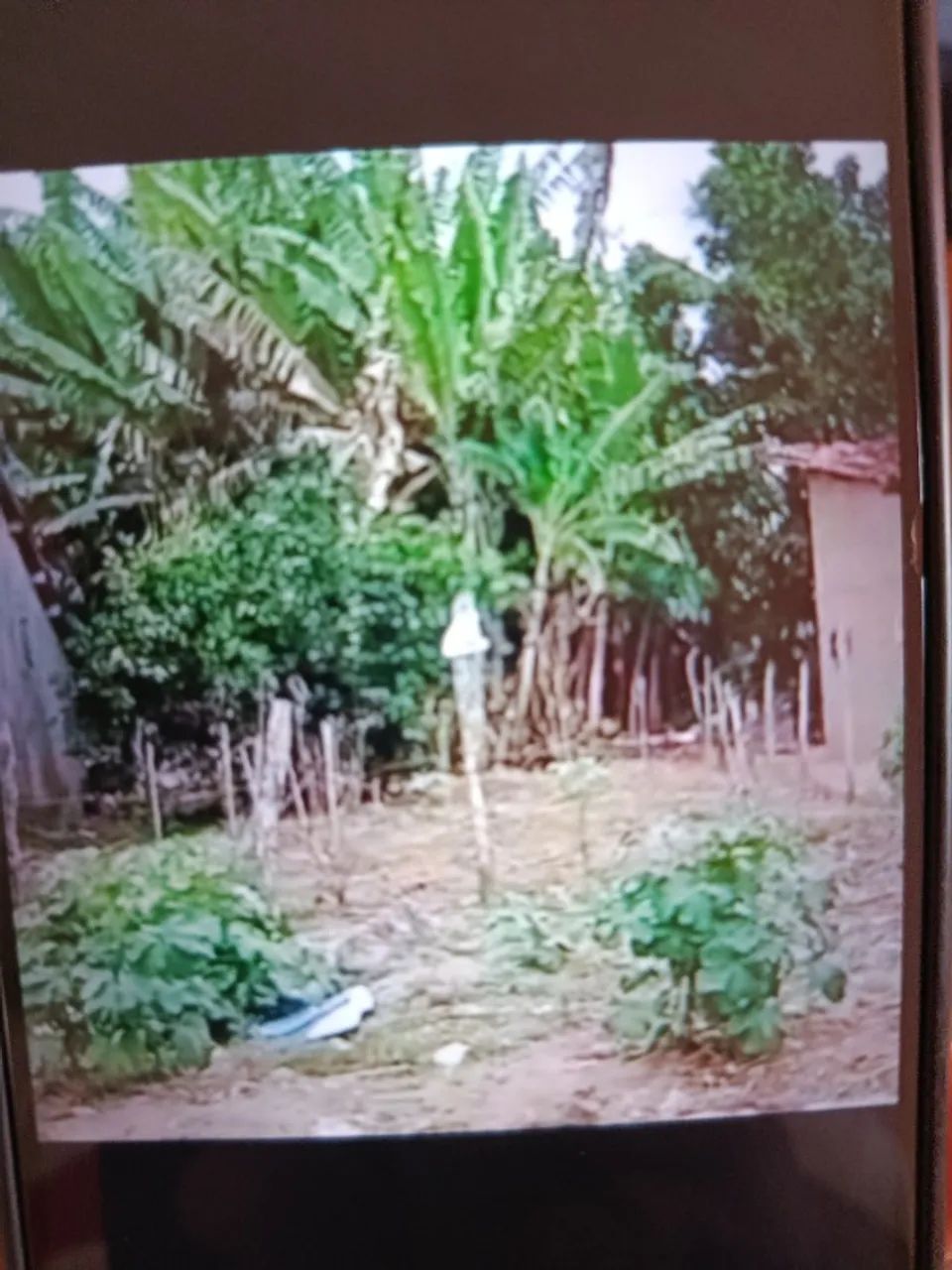 Vende um terreno 