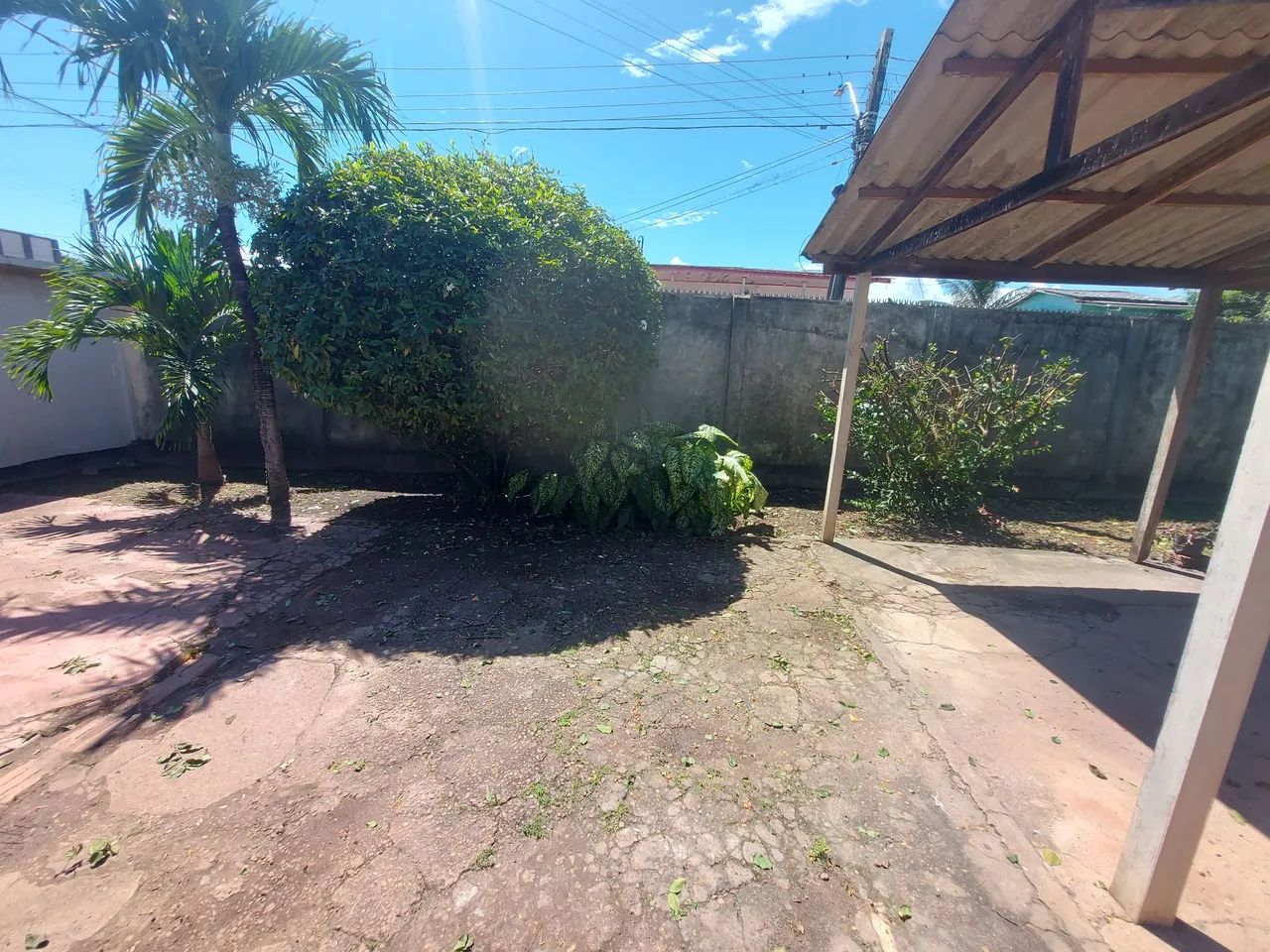 Jardinagem e paisagismo  - Foto 4