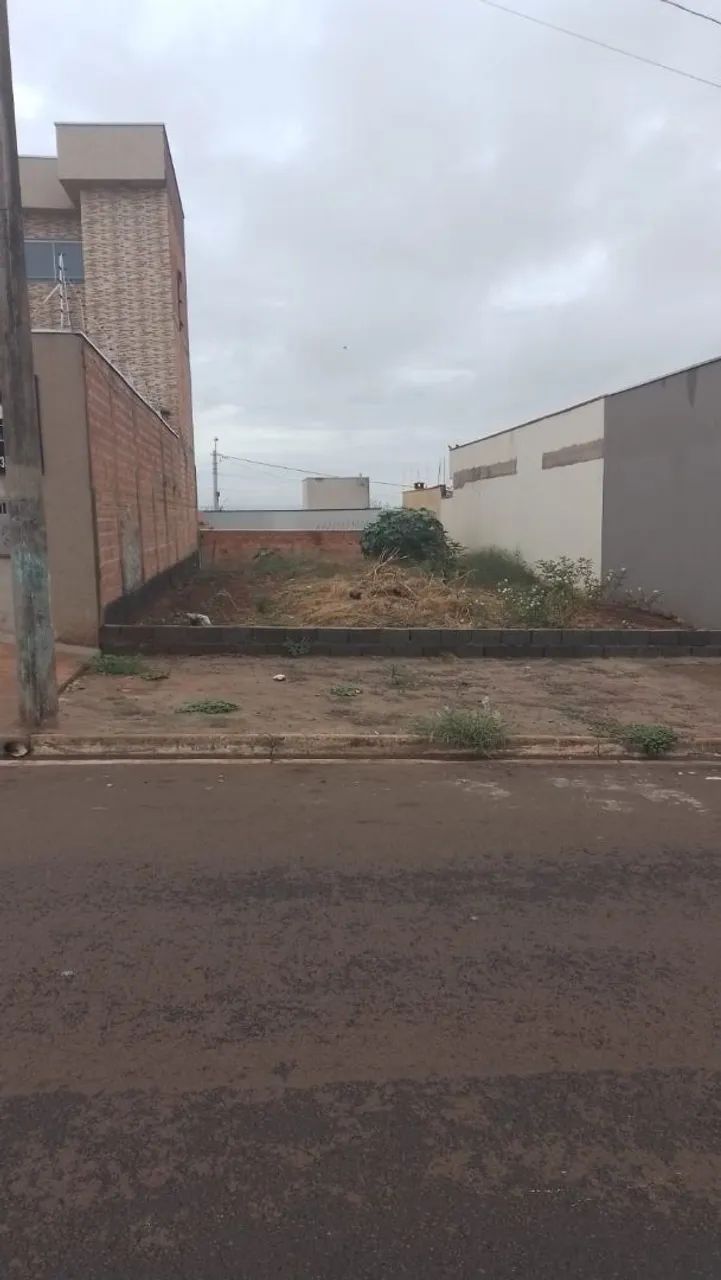 Foto - Ribeirão Preto - Parque das Oliveiras