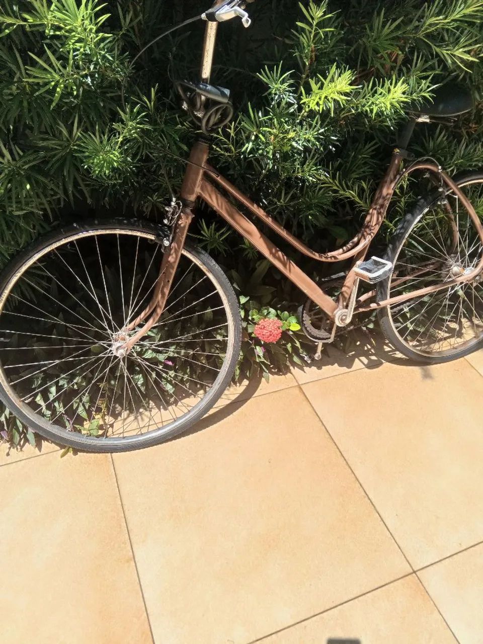 Bicicleta antiga 