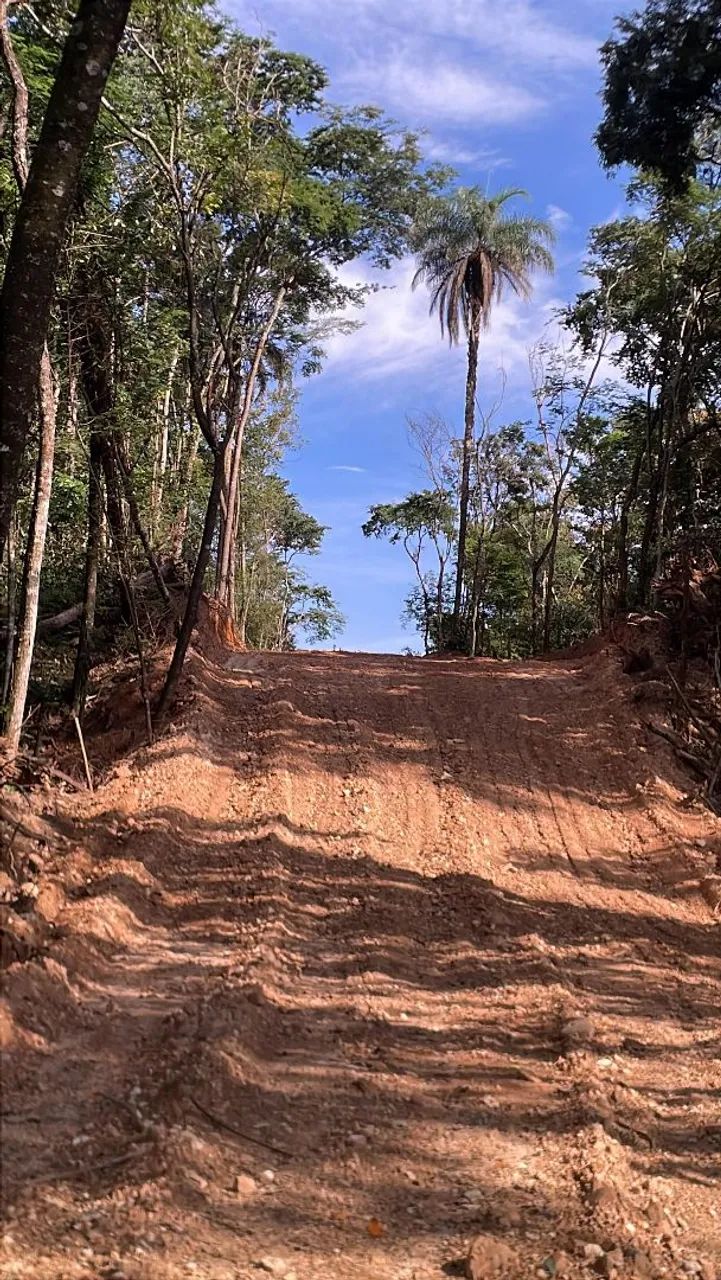 Terreno rural em florestal  - Foto 5