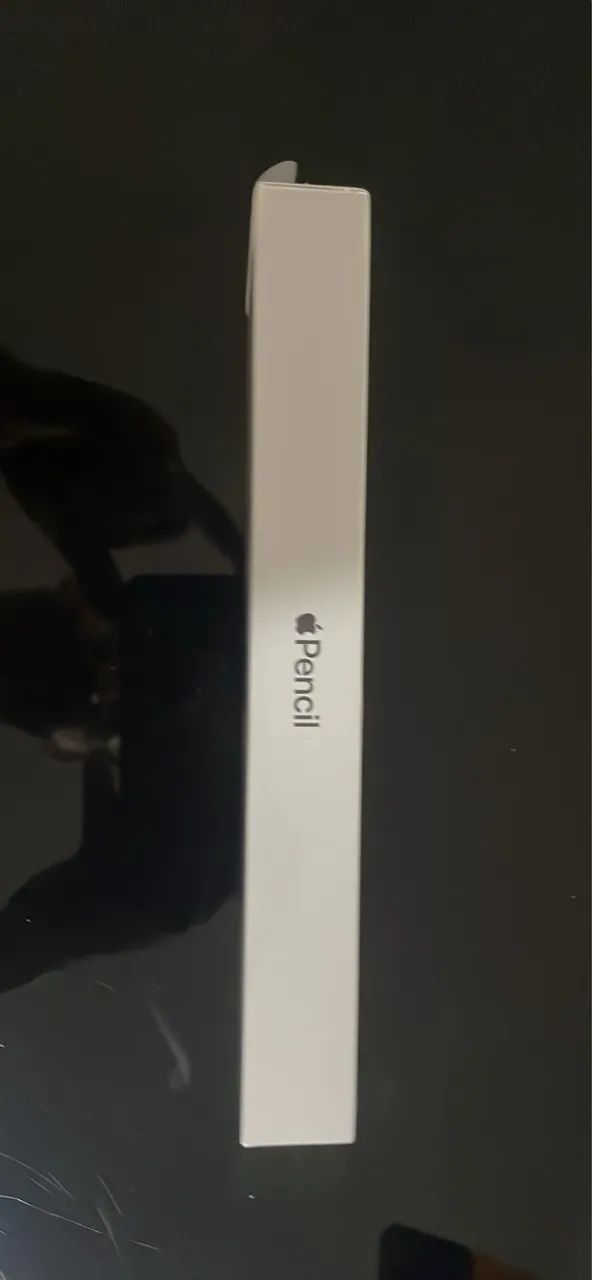 コ*助様 Apple Pencil Pro ホワイト Caneta Apple Pencil Pro Mod A2538 Original+nf | Parcelamento sem juros