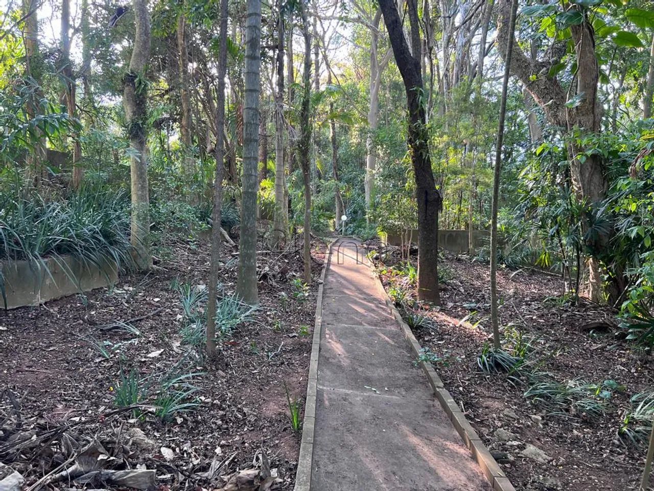 Chácara à venda e para alugar em Vinhedo, Centro, com 4 suítes, com 11650 m² - Foto 5