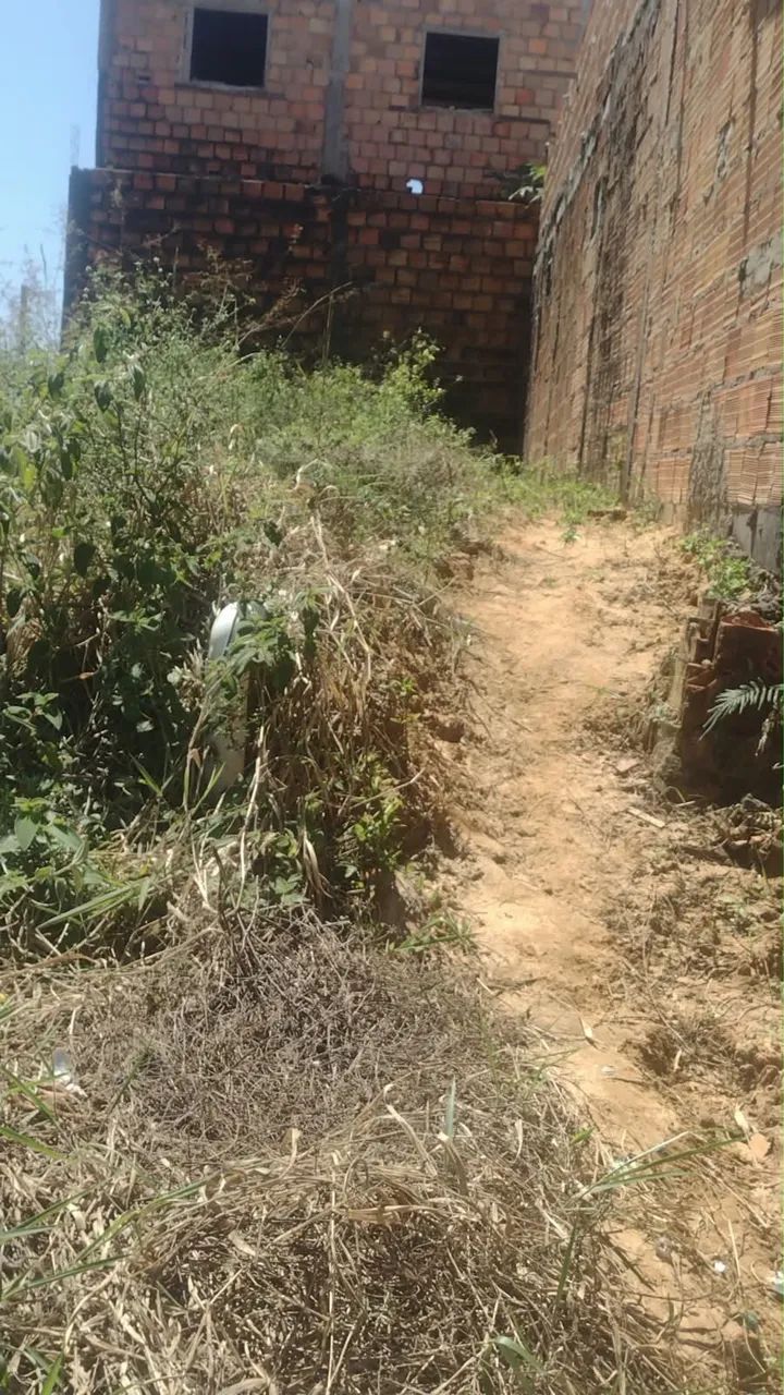Terreno  - Foto 2