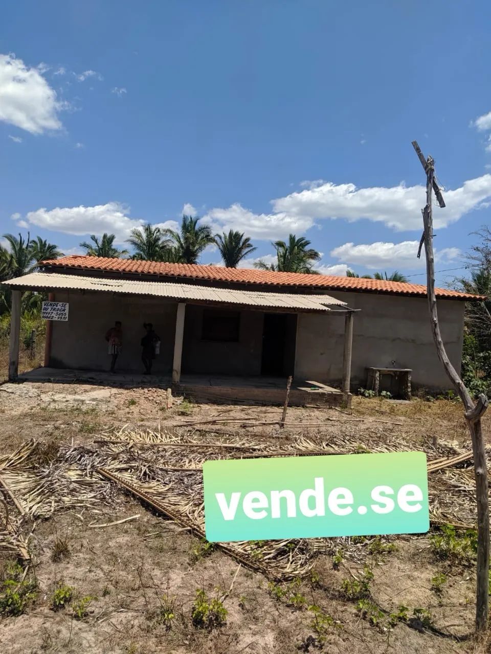 Foto - Teresina - Centro