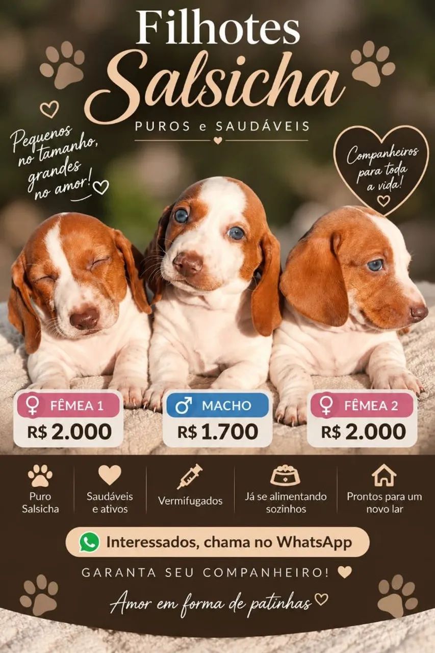 Salsicha para vender