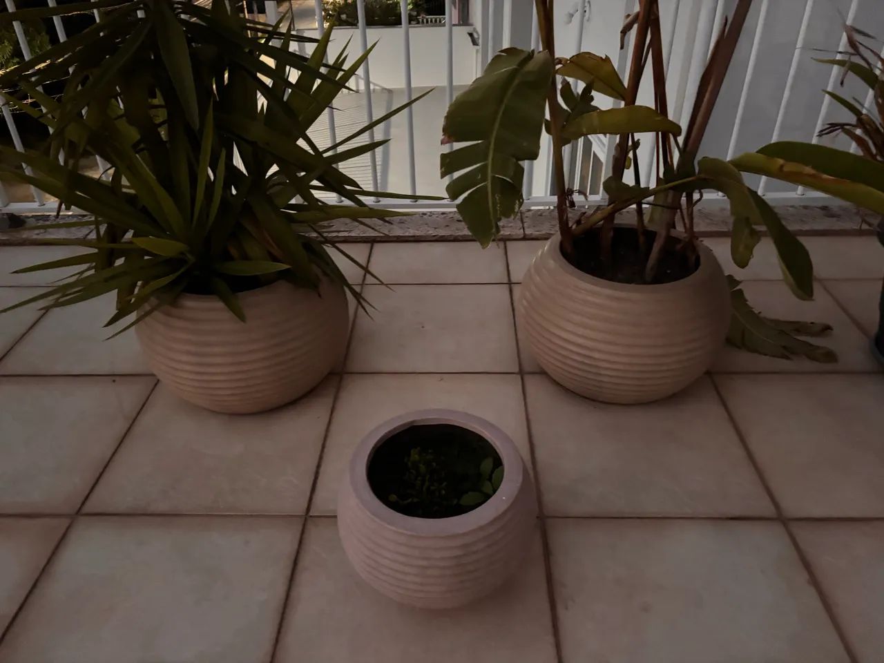 Vaso 