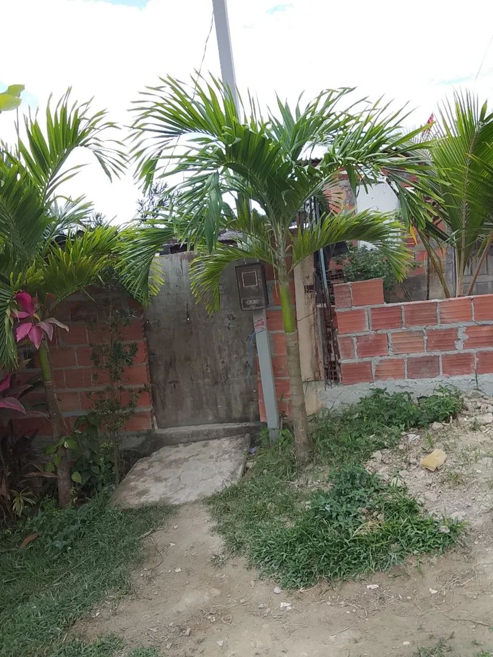 Terreno  - Foto 3