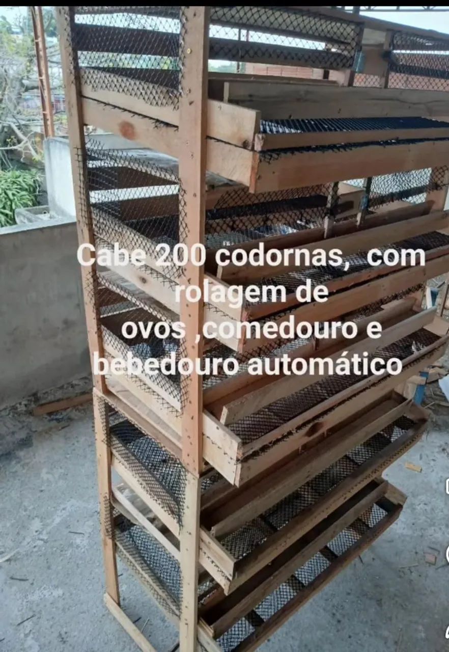 VIVEIRO PARA CODORNAS  - Foto 3