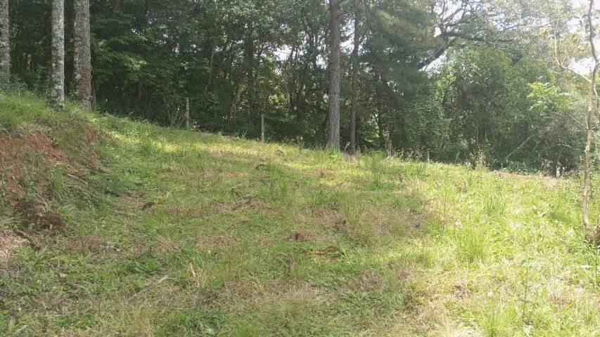 Chácara 5.156 m² no Centro de Tunas do Paraná - PR -  - Foto 4