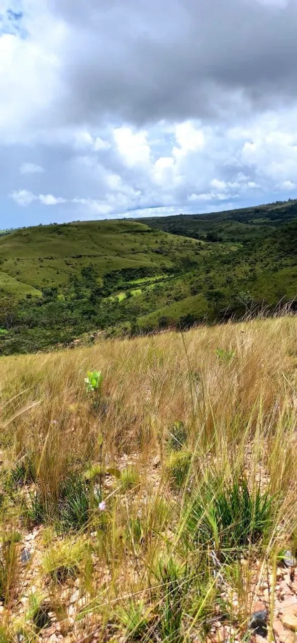 ? Chácara 5.000m² na Antinha de Cima  - Foto 5
