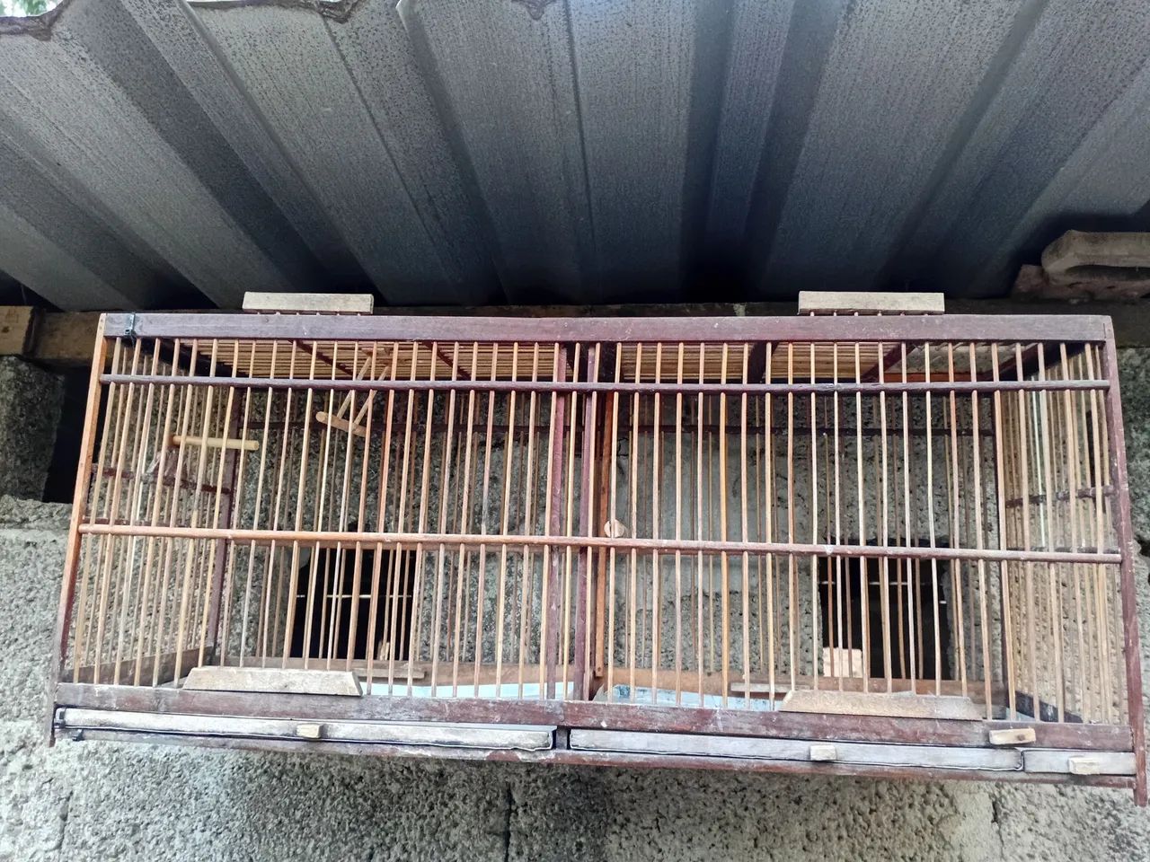Vendo voador 