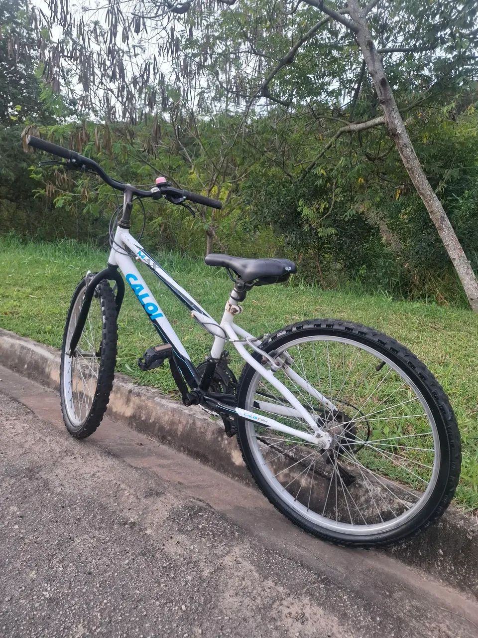 CALOI ARO 24  - Foto 2
