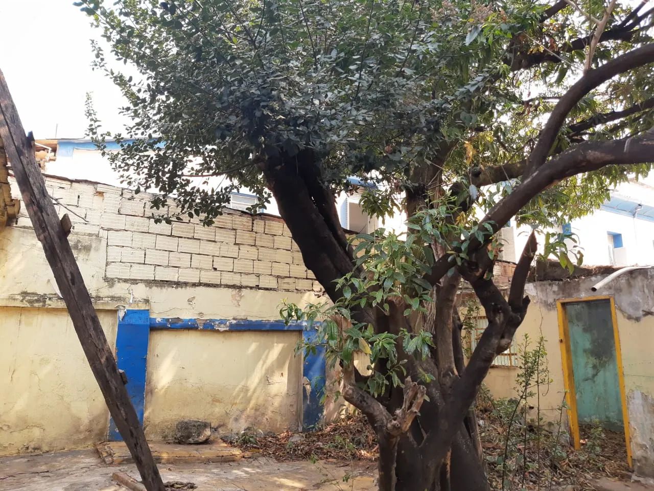 Lote no Barro Preto - Foto 4