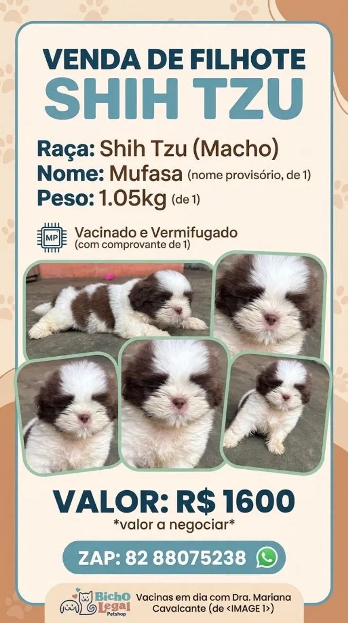 Lindo cachorro 