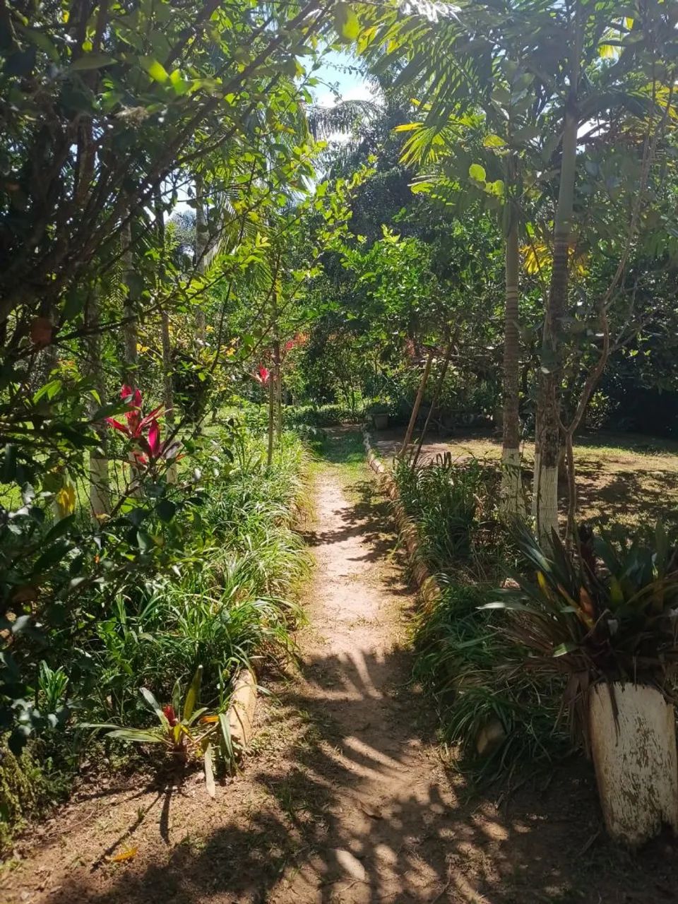 Sitio dos sonhos  - Foto 2