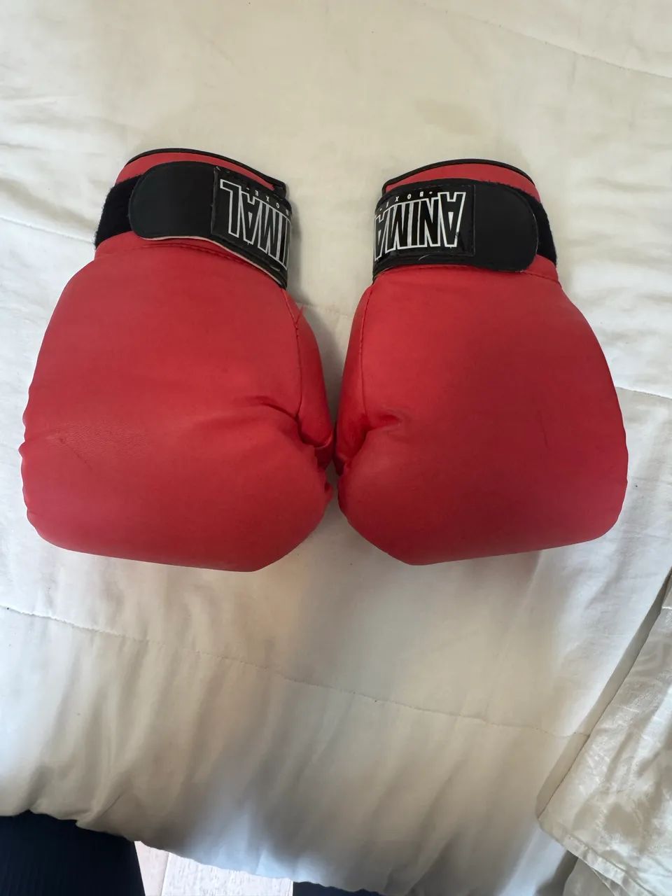Luva boxe 