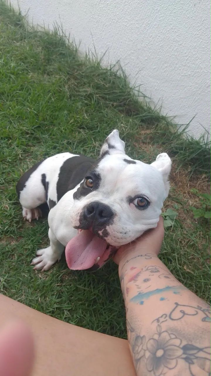 Doação responsável  - Foto 2
