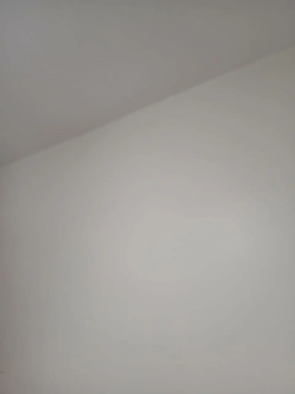 Pintor profissional faça seu orçamento de graça 