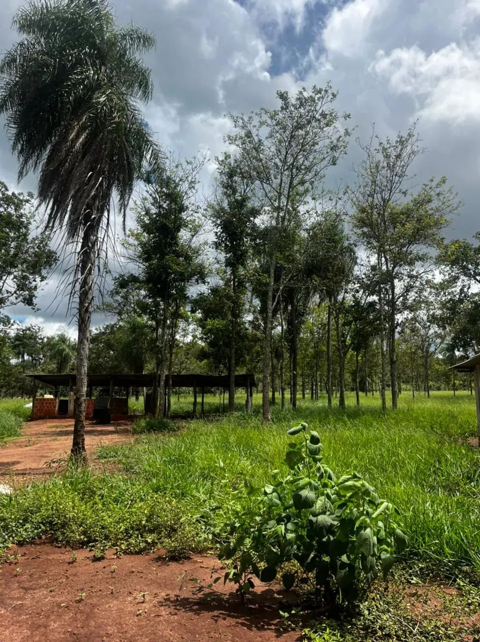 Chácara de 7 ha em Bonito com casa de 3 suítes e pasto - Foto 2