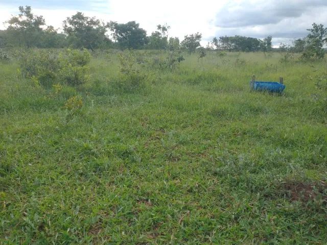 Chácara em Bandeirantes MS - Foto 4