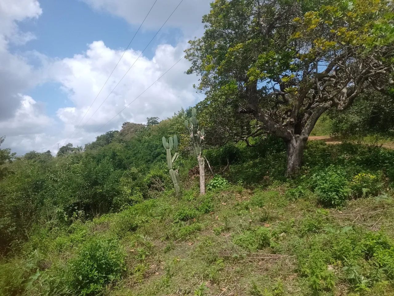 Fazenda Alagoa Nova. - Foto 5