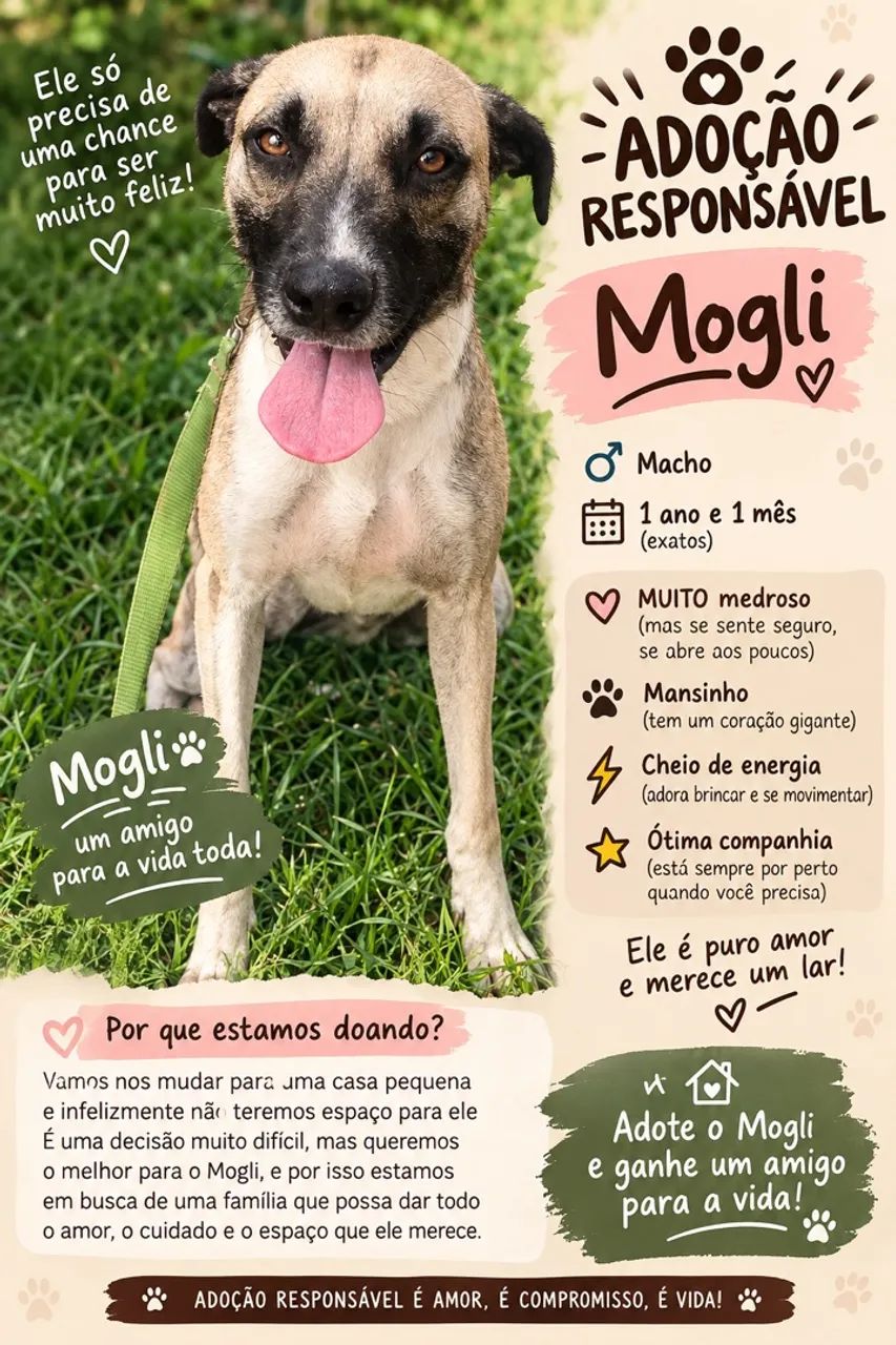 Doação cachorro