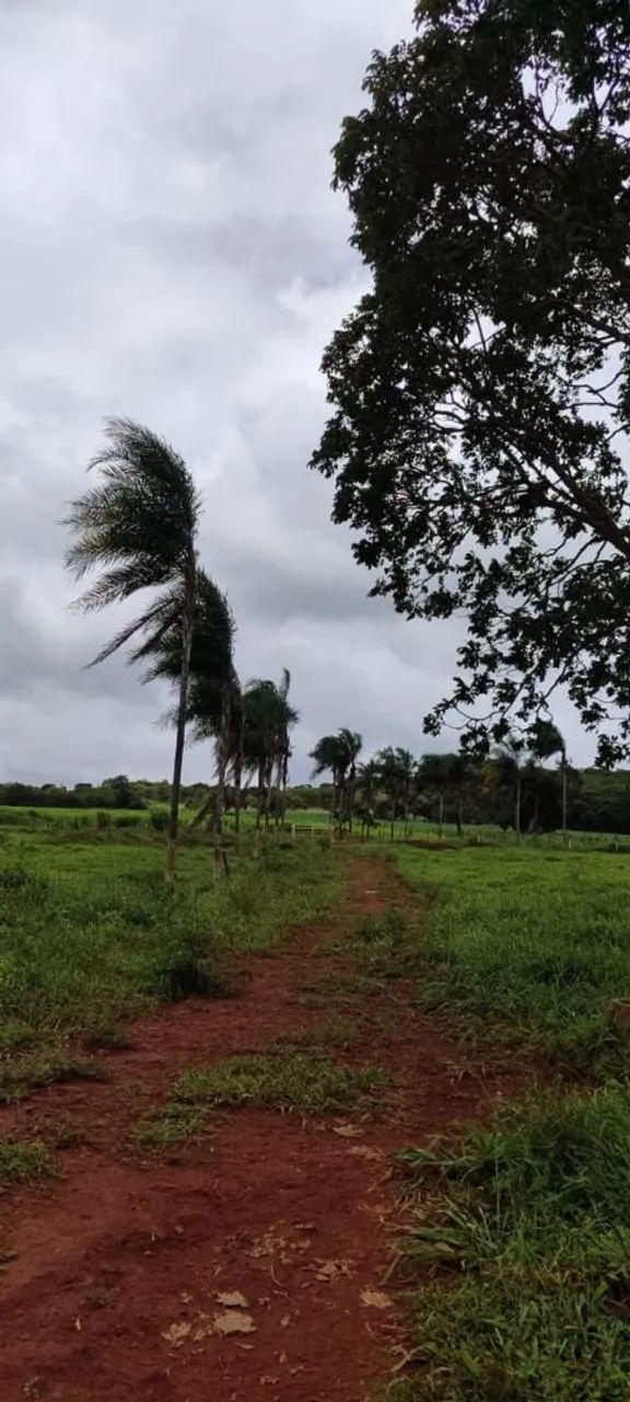 Foto - Bela Vista de Goiás - 