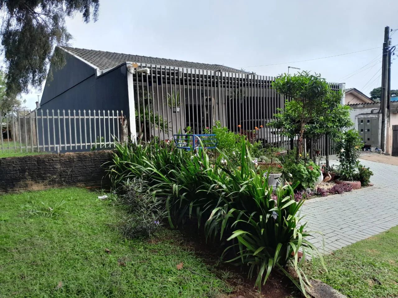 Foto - Cascavel - 14 de Novembro