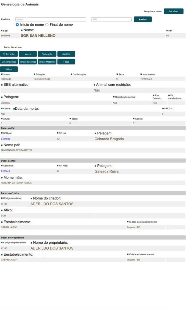 Cavalo criolo top  - Foto 4