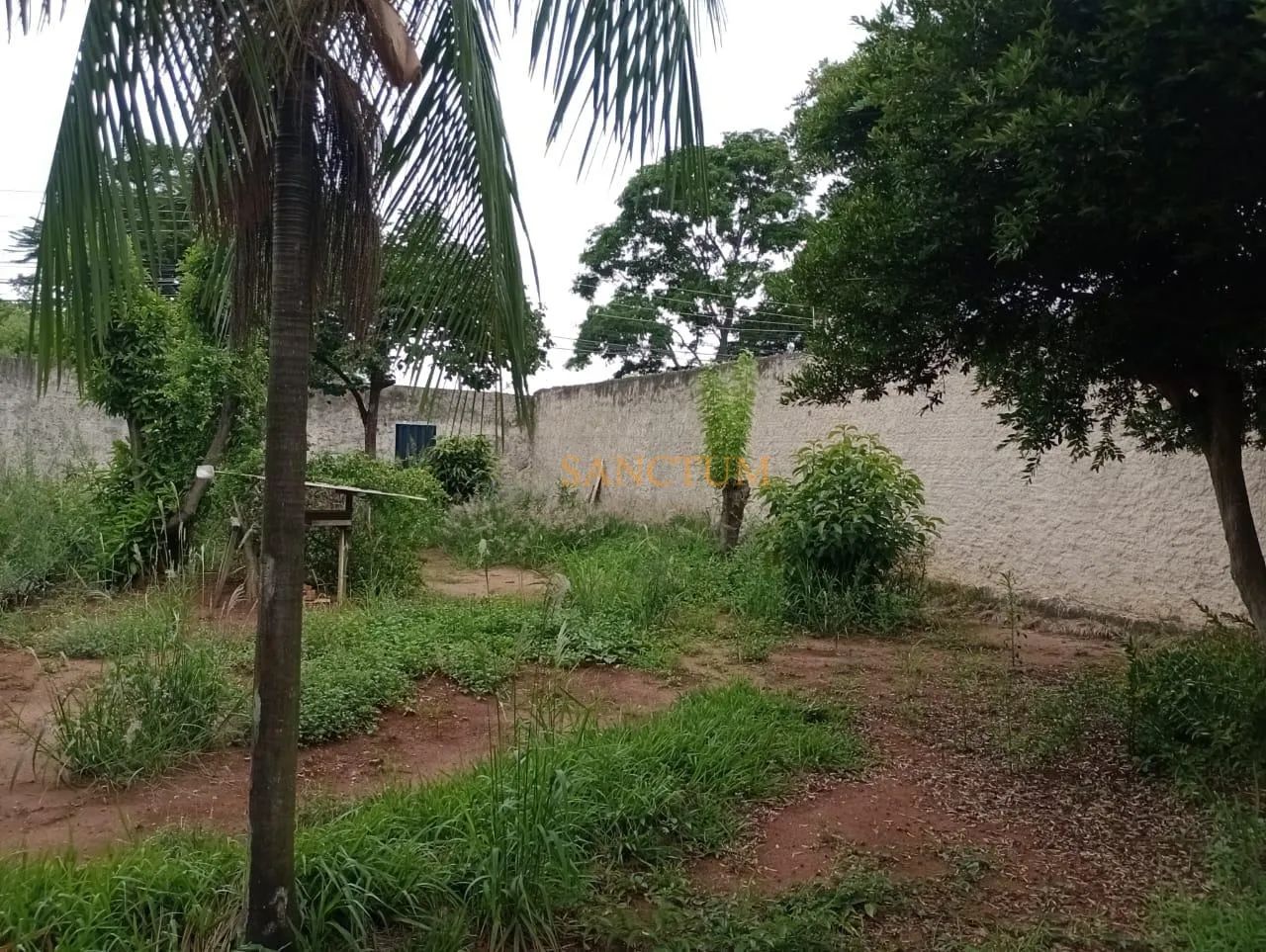 terreno - Jardim Eulina - Campinas - Foto 4