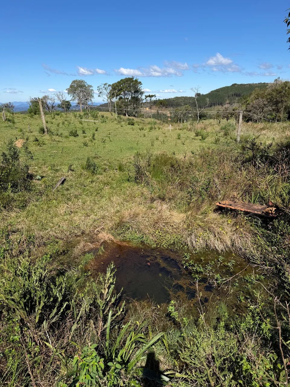ANITÁPOLIS/SC - Lindo sítio na comunidade da serrinha - Foto 2
