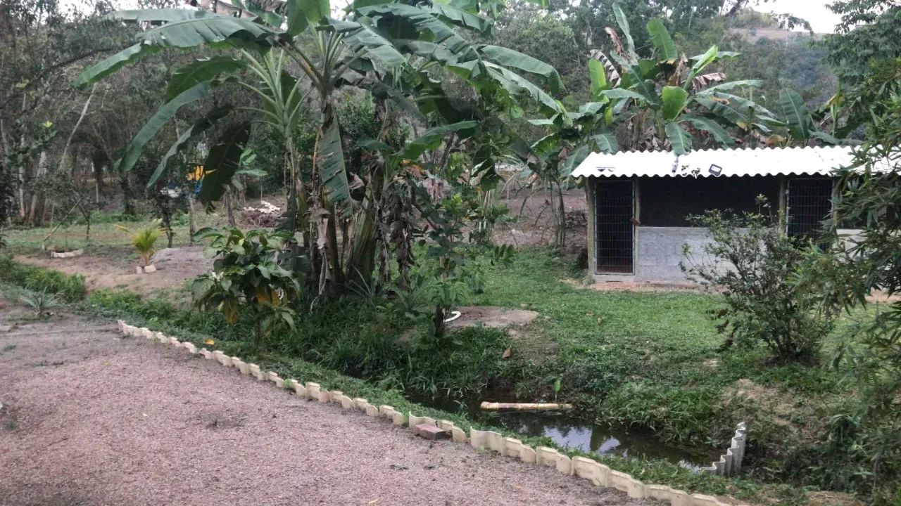 Imóvel para venda tem 5000 m2 com 2 quartos em Nova Marília - Magé - RJ - Foto 5