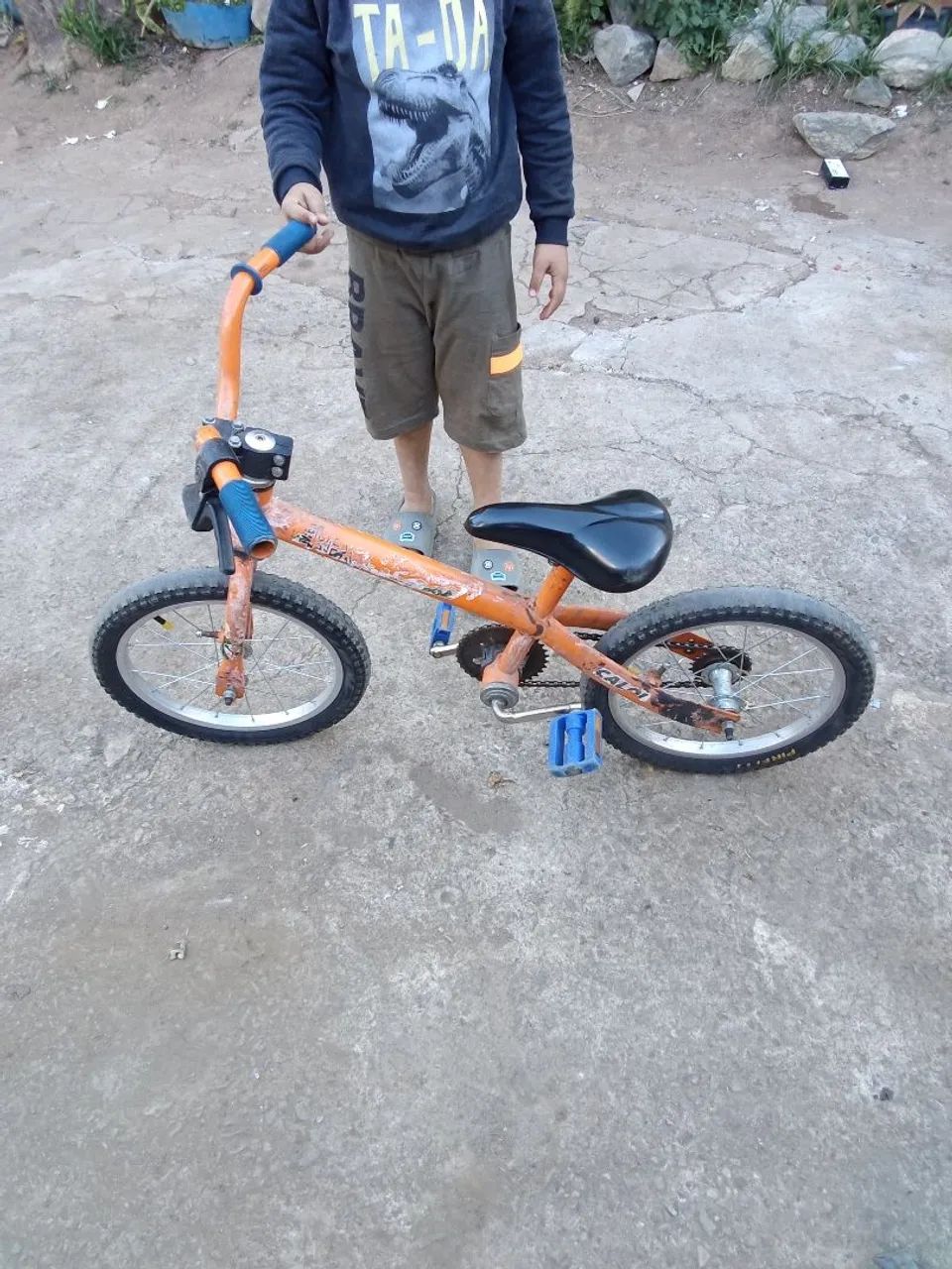 Bicicleta Infantil Aro 16 - Rodas de Alumínio Reforçadas