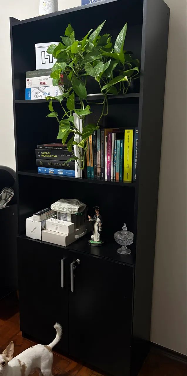 Estante com chave  - Foto 2