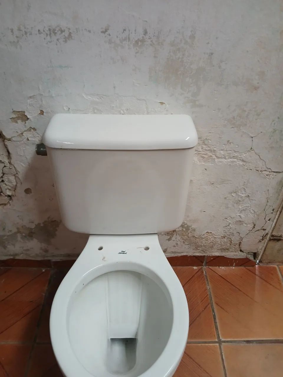 Vaso - Foto 4