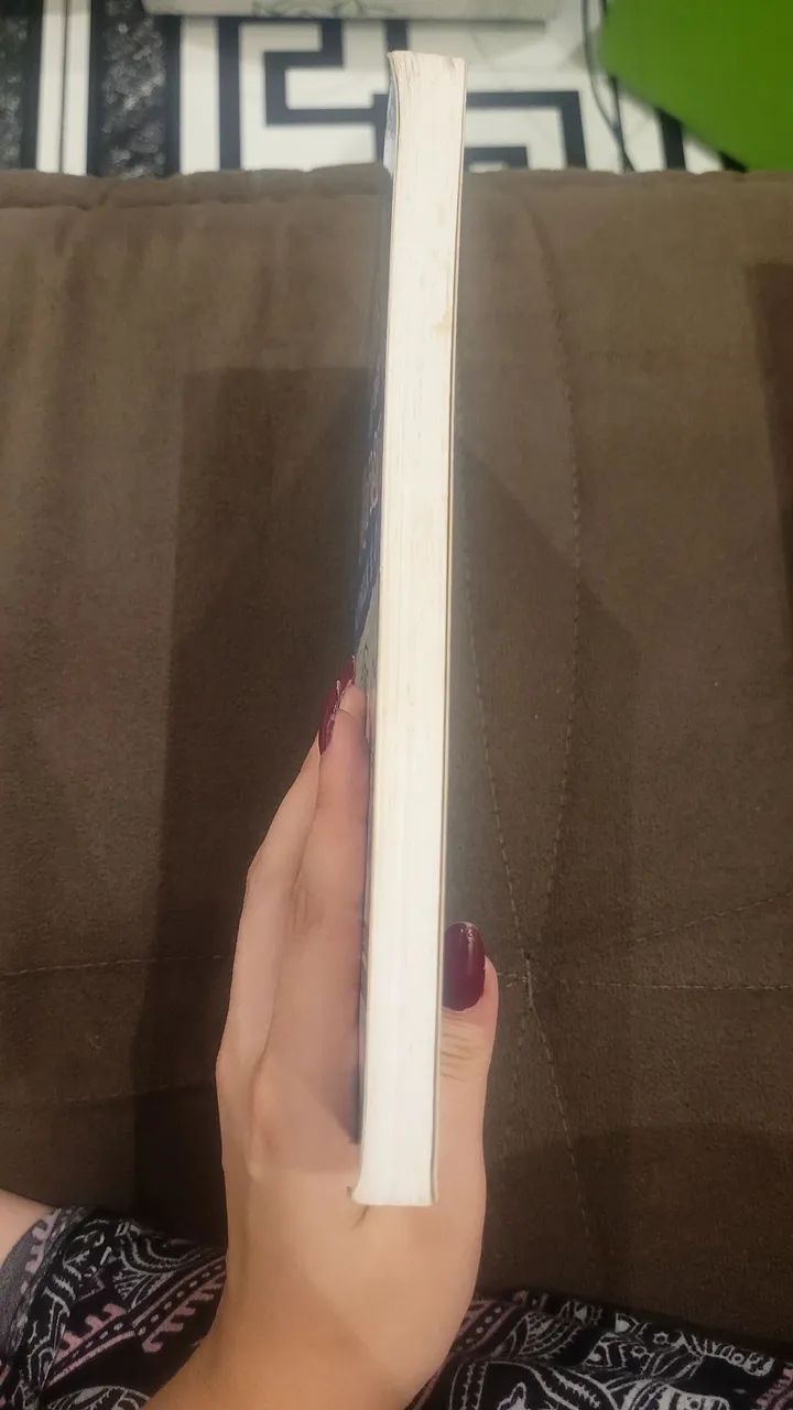 Diário de um banana - Jeff Kinney | Livro 2 - Foto 4