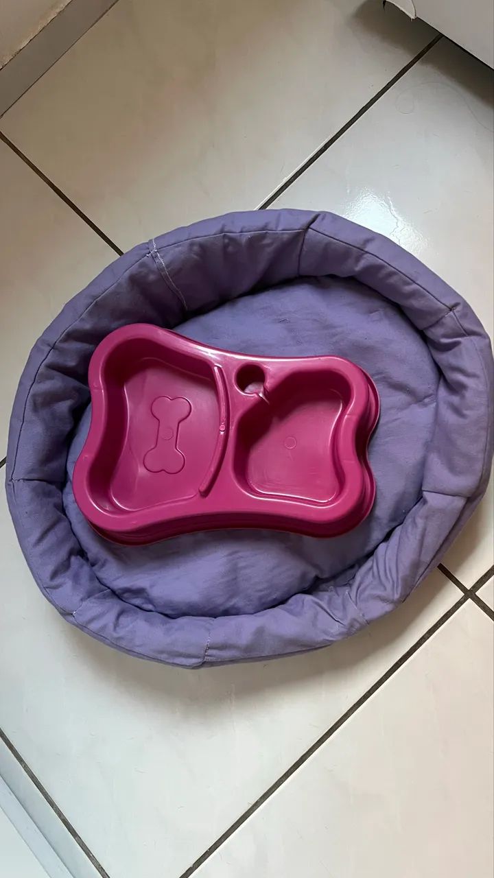 Caminha de cachorro 