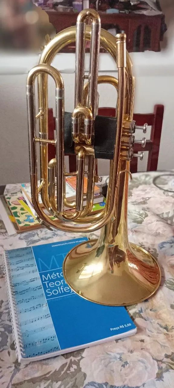 Instrumento musical  - Foto 3