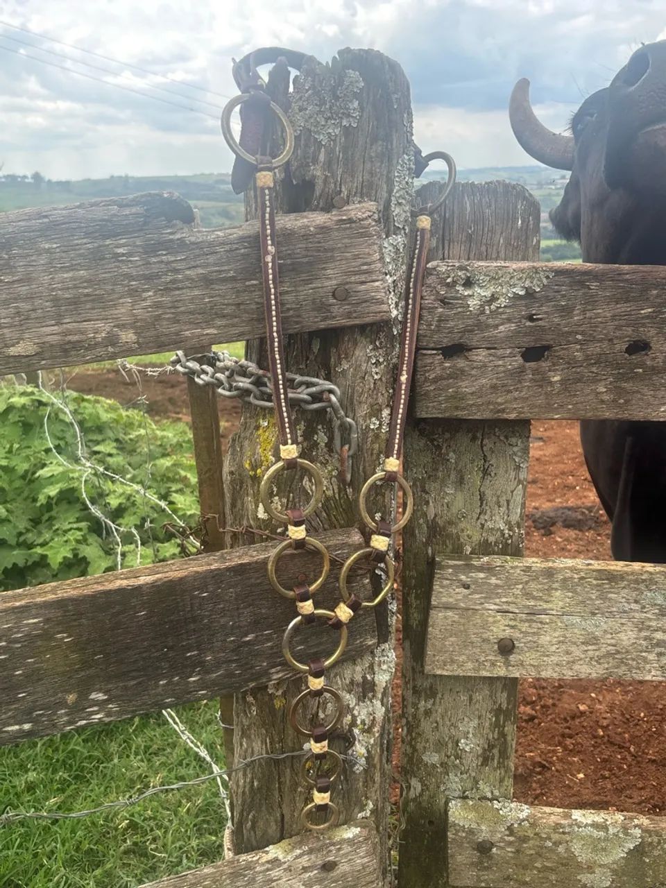 Traia de cavalo - Foto 3