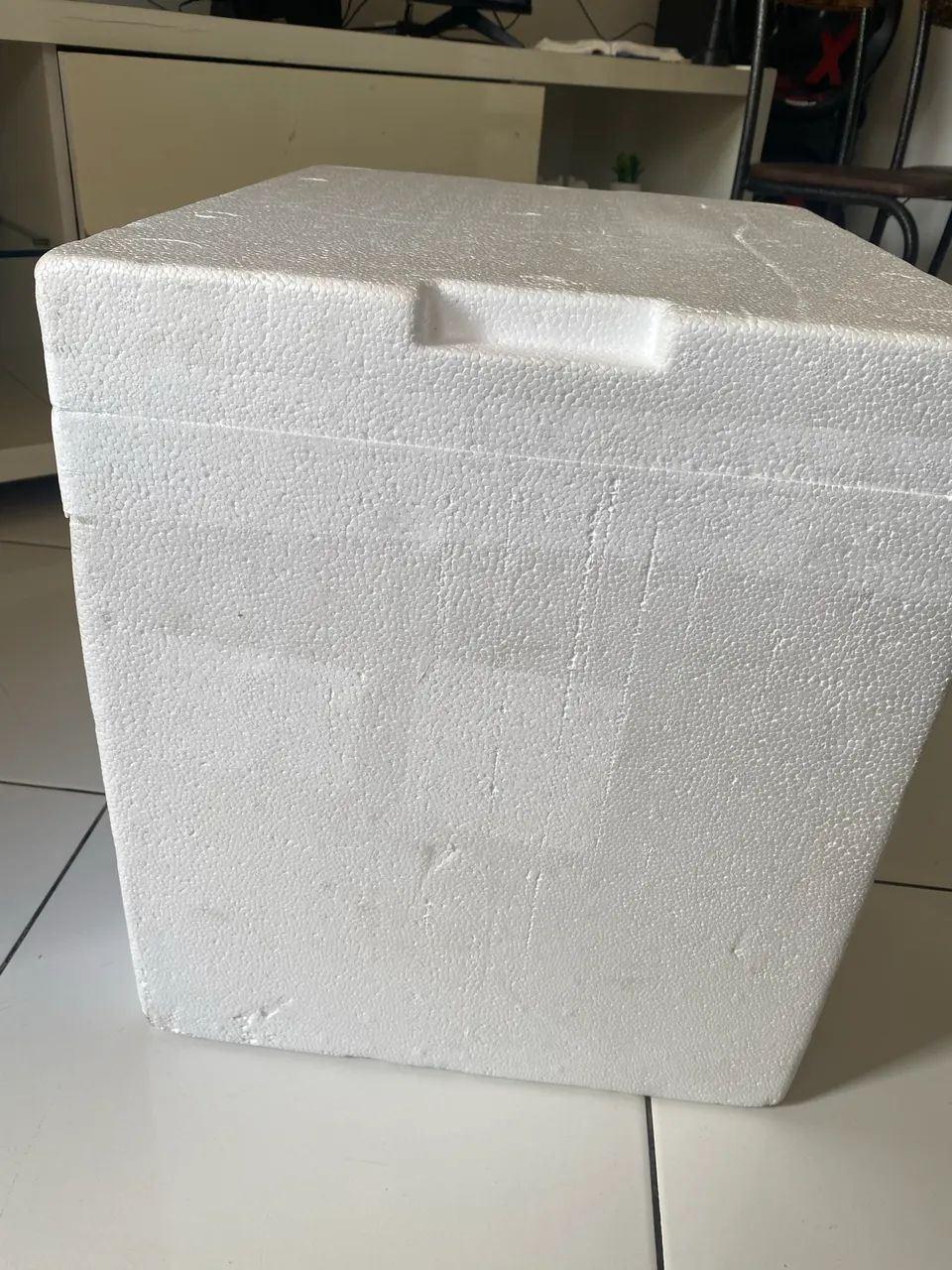 Caixa de isopor - Foto 2