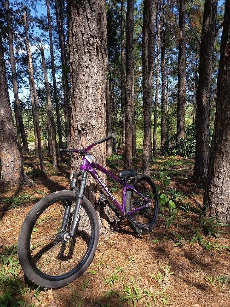 Bicicleta Absolute Brutus Pro aro 26 - Foto 3