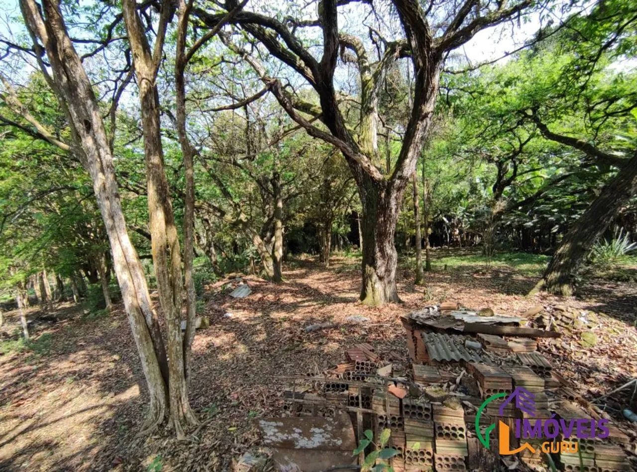 TERRENO - BIANUCCI - MG - Foto 5