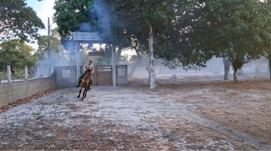 Cavalo Manga Larga - Foto 4