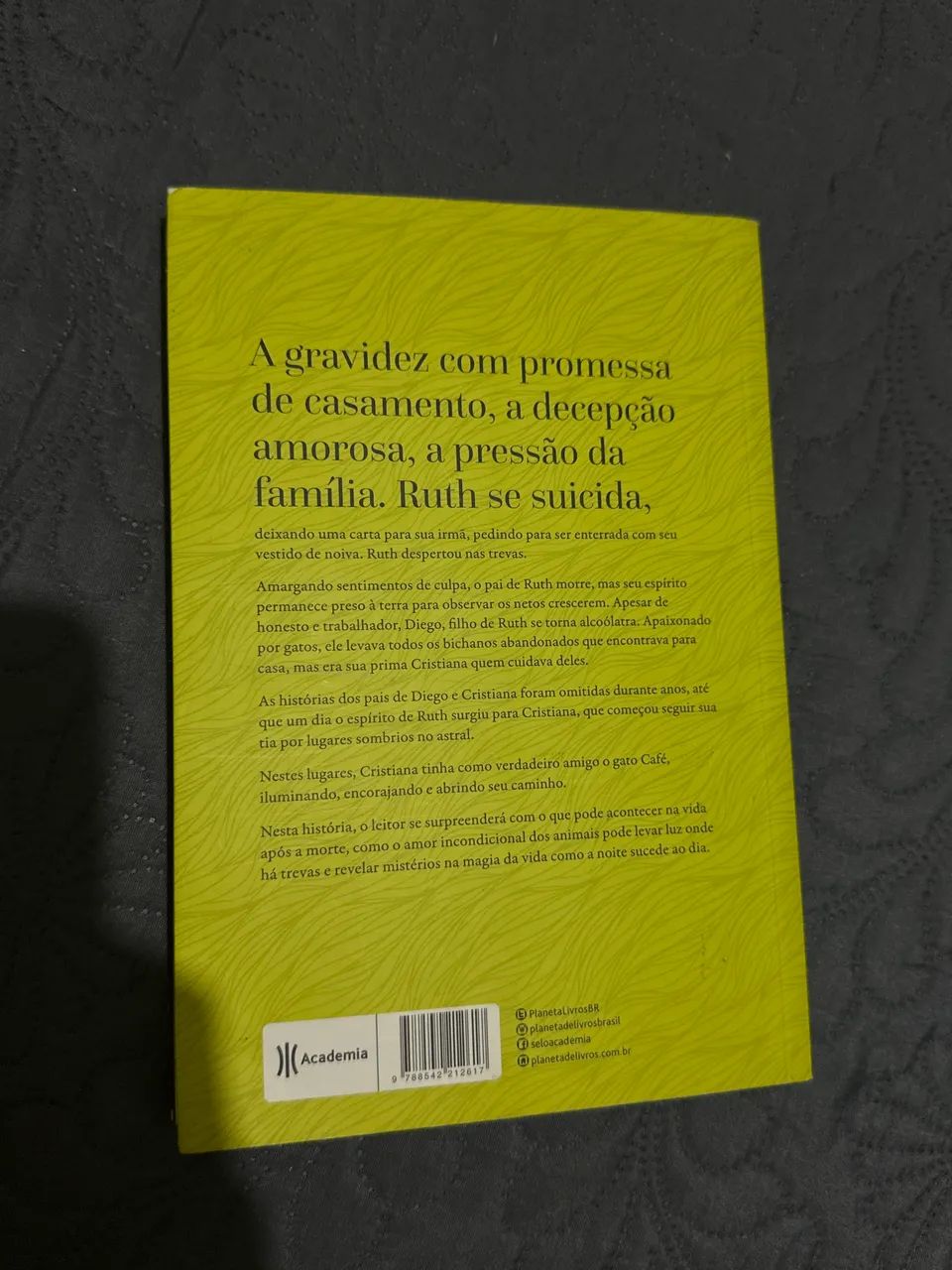 Um amor de sete vidas - Foto 2