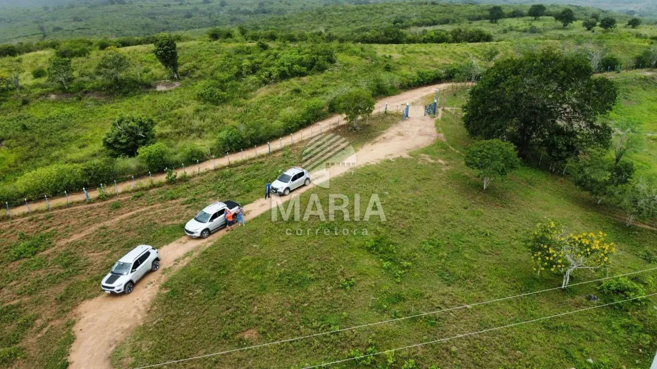 Área a venda com 14 Hectares em Gravatá/PE! - Foto 5