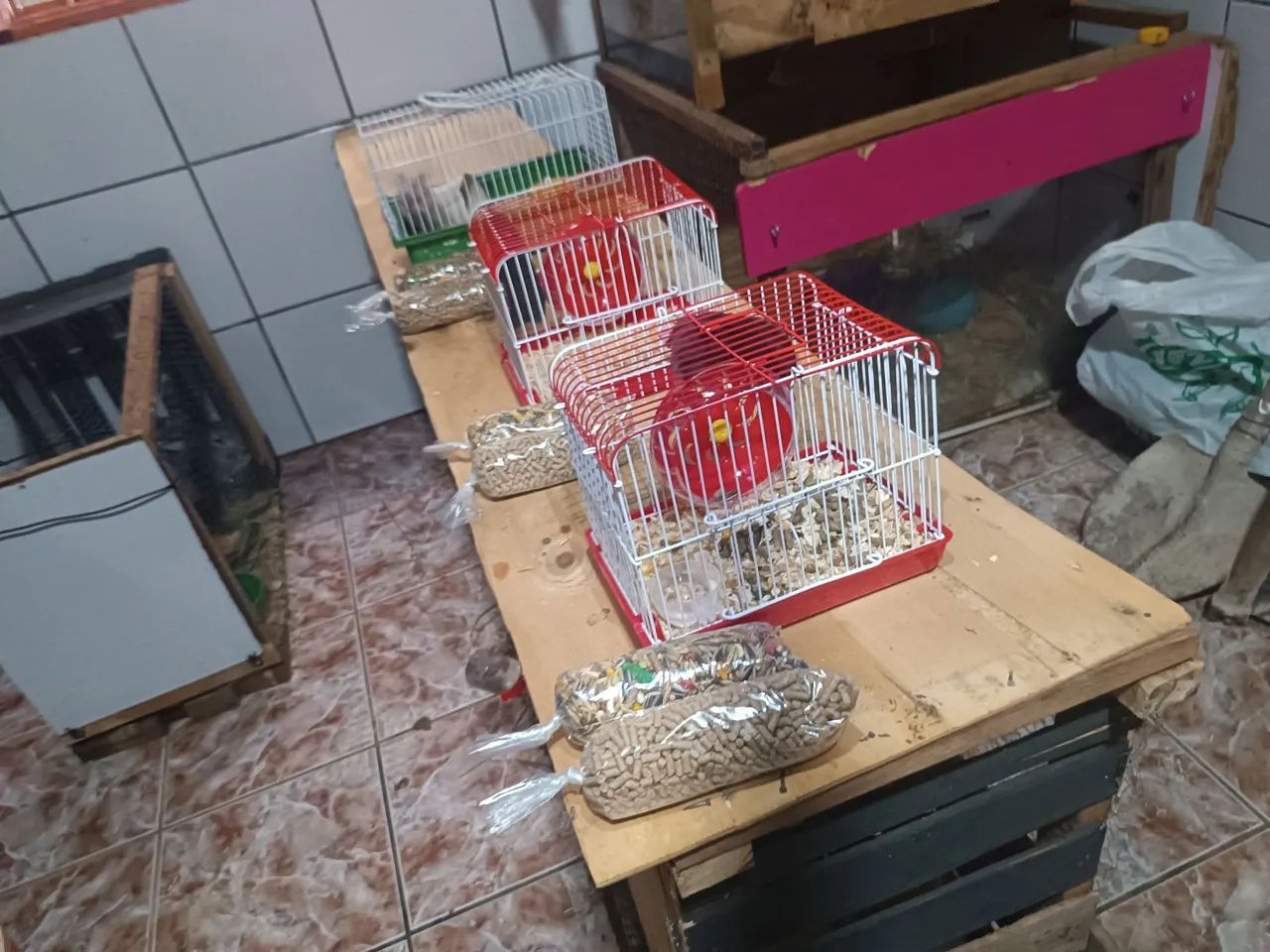 Gaiolas completas