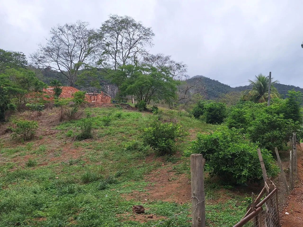Foto - Cachoeiro de Itapemirim - Agostinho Simonato