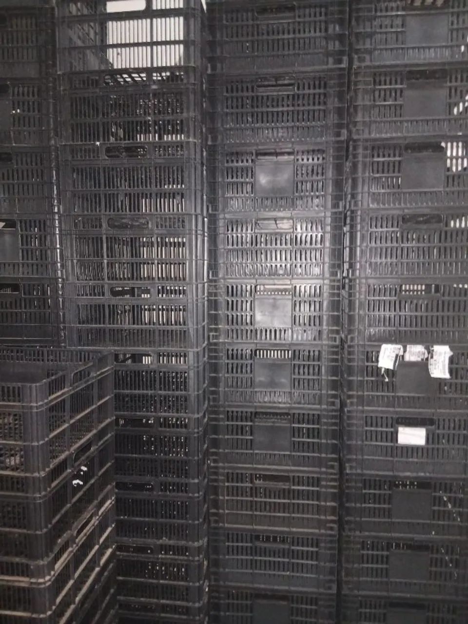 Lote de Caixas Plásticas para Hortifrúti - Foto 2
